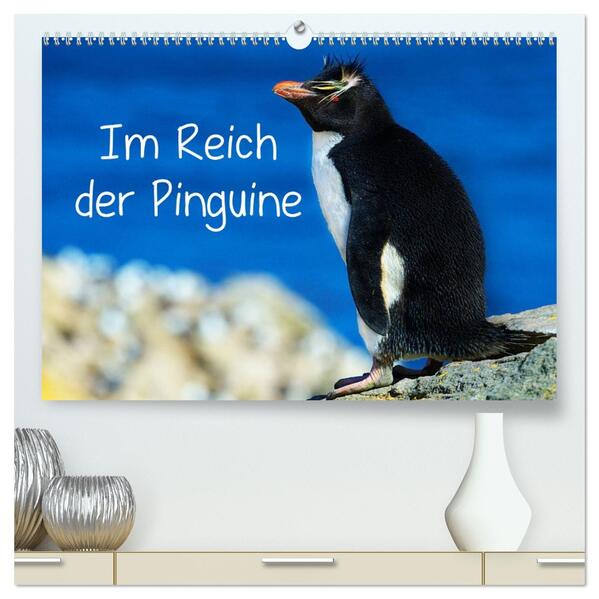 Im Reich der Pinguine (hochwertiger Premium Wandkalender 2026 DIN A2 quer) Kunstdruck in Hochglanz