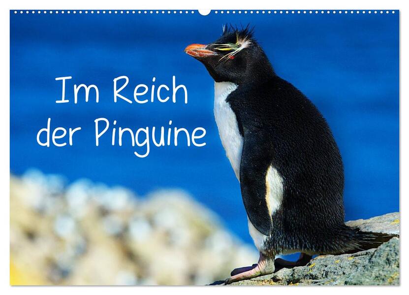 Im Reich der Pinguine (Wandkalender 2026 DIN A2 quer) CALVENDO Monatskalender
