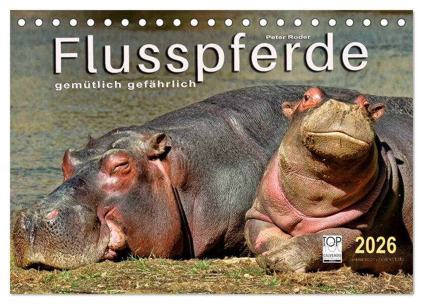 Flusspferde - gemütlich gefährlich (Tischkalender 2026 DIN A5 quer) CALVENDO Monatskalender