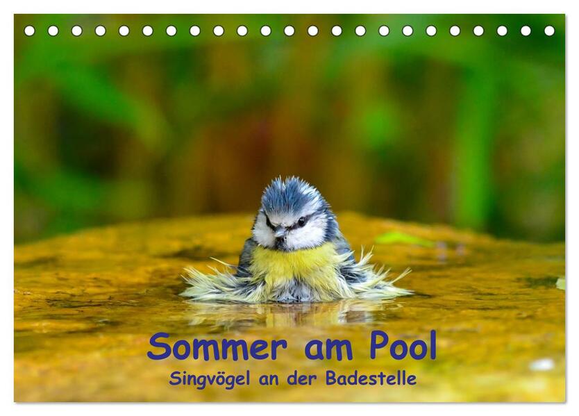 Sommer am Pool - Singvögel an der Badestelle (Tischkalender 2026 DIN A5 quer) CALVENDO Monatskalender