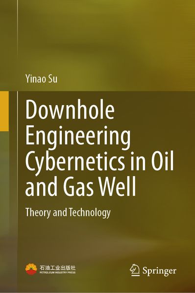 Downhole Engineering Cybernetics in Oil and Gas Well m. 2 Buch