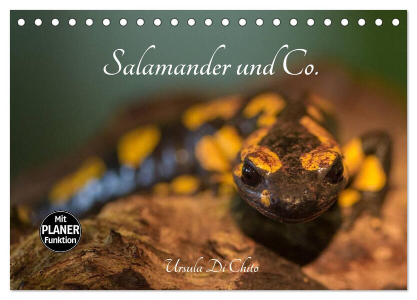 Salamander und Co. (Tischkalender 2026 DIN A5 quer) CALVENDO Monatskalender