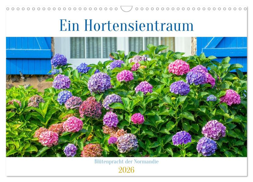 Ein Hortensientraum (Wandkalender 2026 DIN A3 quer) CALVENDO Monatskalender