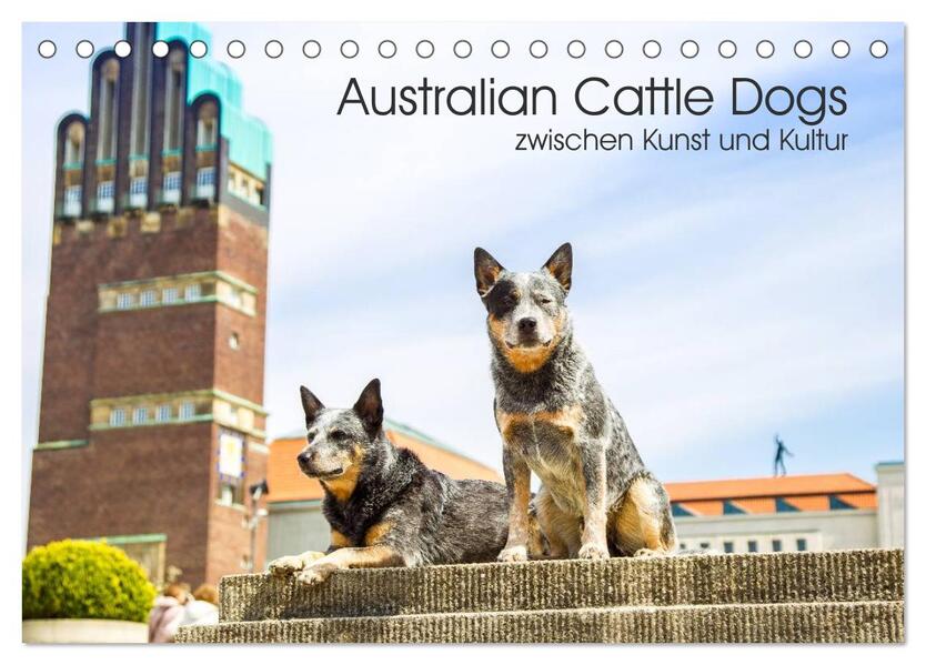 Australian Cattle Dogs zwischen Kunst und Kultur (Tischkalender 2026 DIN A5 quer) CALVENDO Monatskalender