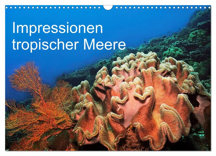 Impressionen tropischer Meere (Wandkalender 2026 DIN A3 quer) CALVENDO Monatskalender