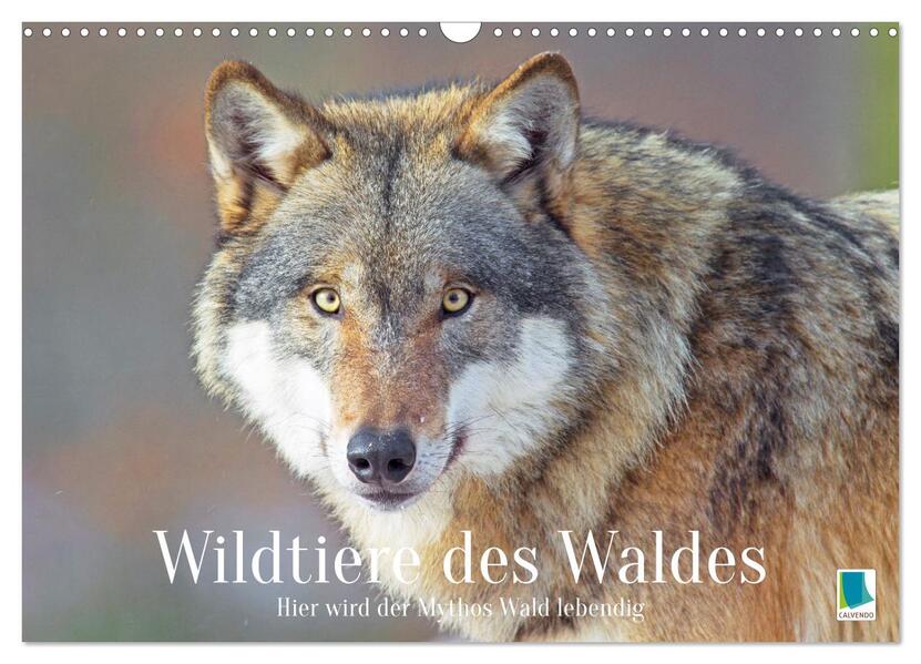 Wildtiere des Waldes: Hier wird der Mythos Wald lebendig (Wandkalender 2026 DIN A3 quer) CALVENDO Monatskalender