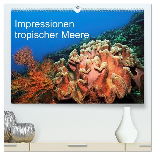 Impressionen tropischer Meere (hochwertiger Premium Wandkalender 2026 DIN A2 quer) Kunstdruck in Hochglanz