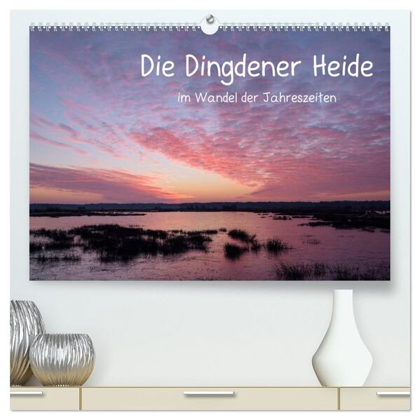 Die Dingdener Heide im Wandel der Jahreszeiten (hochwertiger Premium Wandkalender 2026 DIN A2 quer) Kunstdruck in Hochglanz