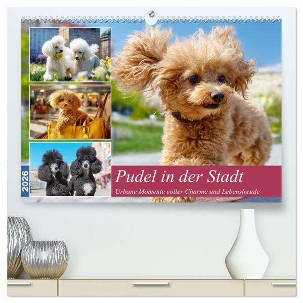 Pudel in der Stadt. Urbane Momente voller Charme und Lebensfreude (hochwertiger Premium Wandkalender 2026 DIN A2 quer) Kunstdruck in Hochglanz
