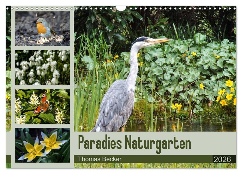 Paradies Naturgarten (Wandkalender 2026 DIN A3 quer) CALVENDO Monatskalender