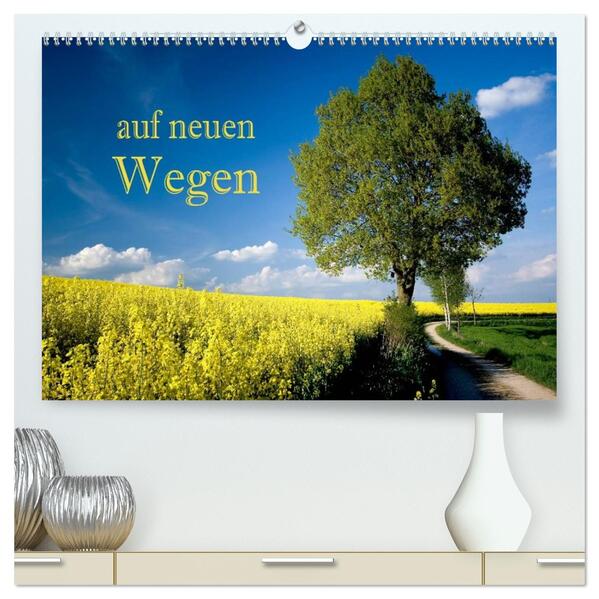 Auf neuen Wegen (hochwertiger Premium Wandkalender 2026 DIN A2 quer) Kunstdruck in Hochglanz