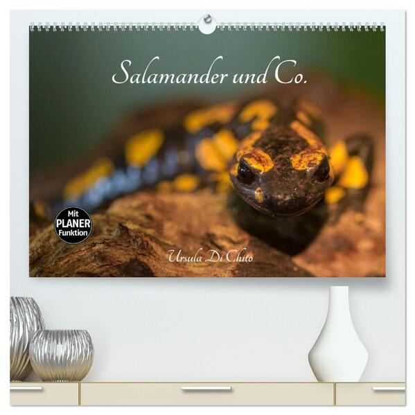 Salamander und Co. (hochwertiger Premium Wandkalender 2026 DIN A2 quer) Kunstdruck in Hochglanz
