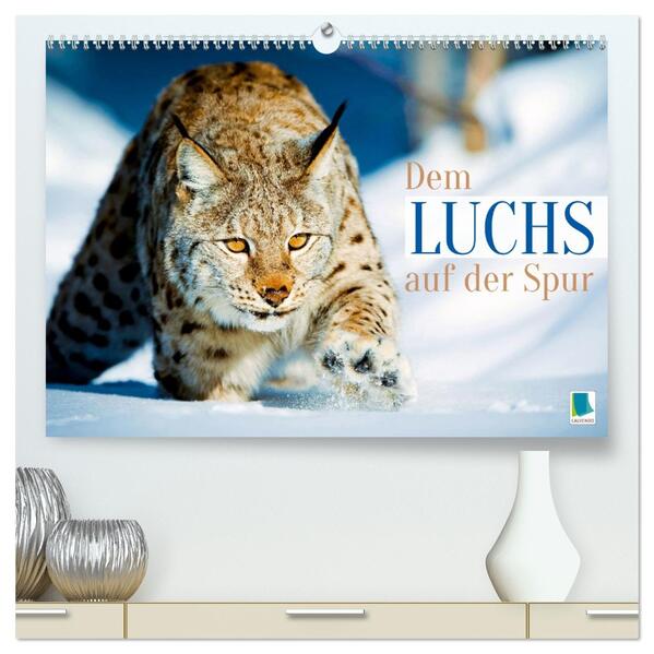 Dem Luchs auf der Spur (hochwertiger Premium Wandkalender 2026 DIN A2 quer) Kunstdruck in Hochglanz
