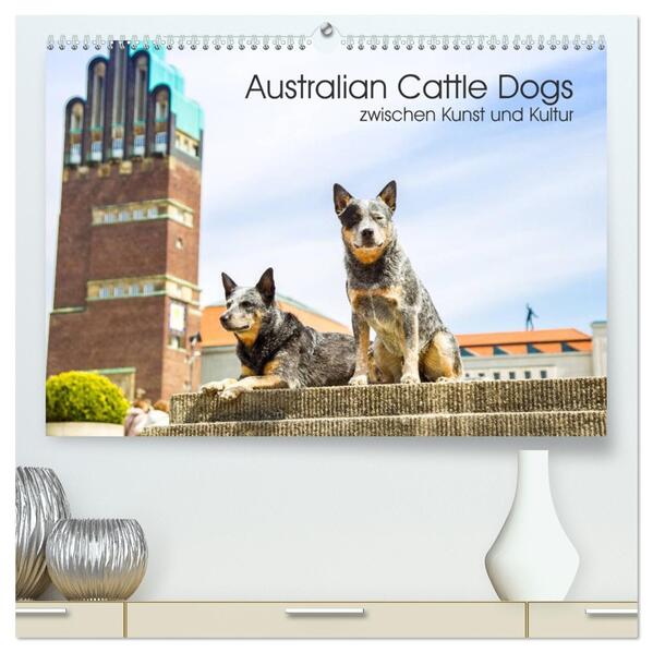 Australian Cattle Dogs zwischen Kunst und Kultur (hochwertiger Premium Wandkalender 2026 DIN A2 quer) Kunstdruck in Hochglanz