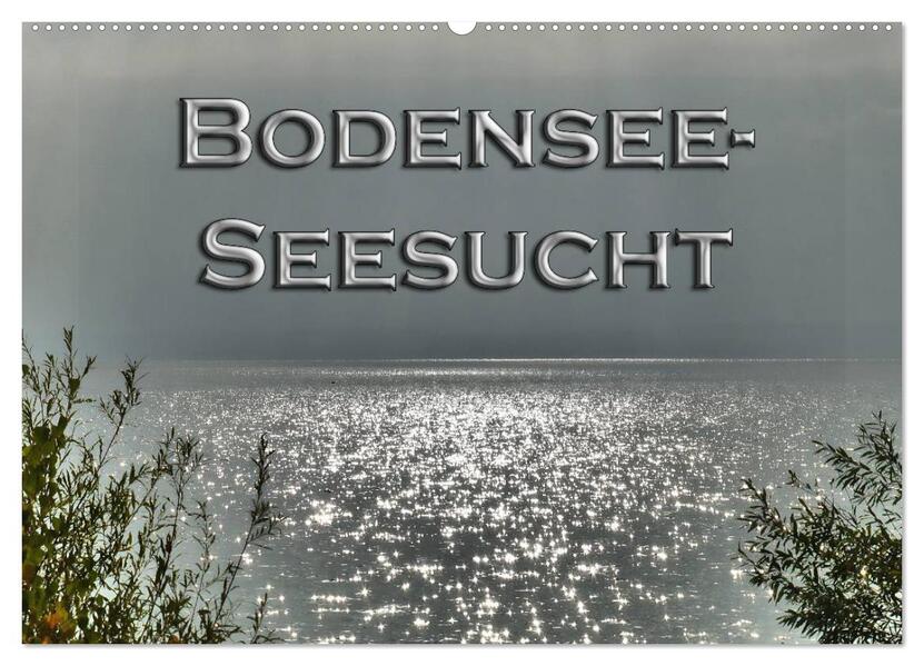 Bodensee - Seesucht (Wandkalender 2026 DIN A2 quer) CALVENDO Monatskalender