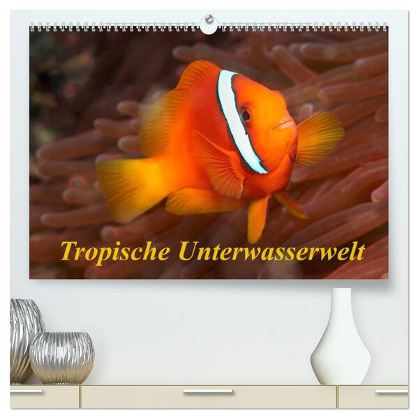 Tropische Unterwasserwelt (hochwertiger Premium Wandkalender 2026 DIN A2 quer) Kunstdruck in Hochglanz