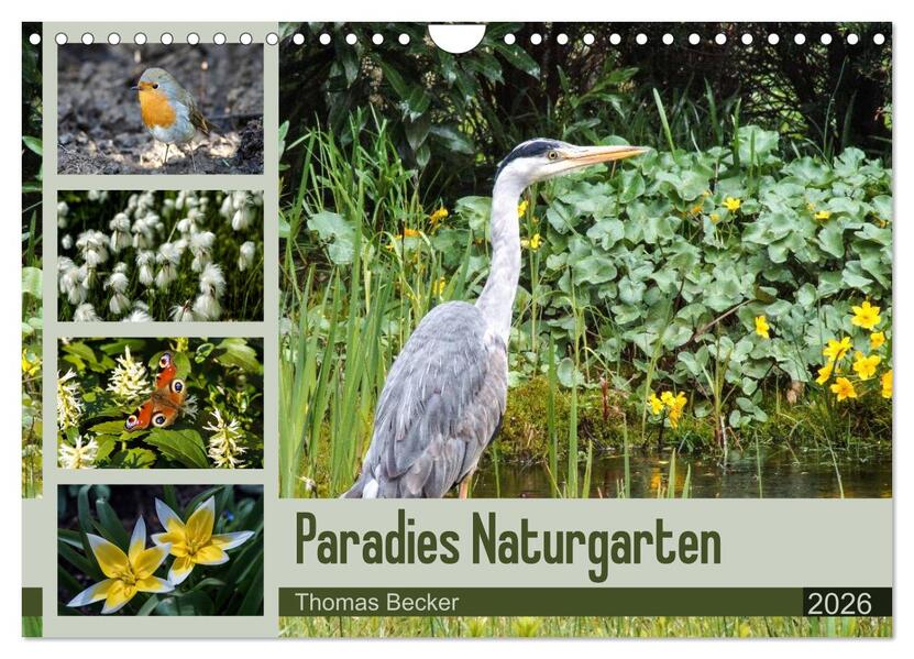 Paradies Naturgarten (Wandkalender 2026 DIN A4 quer) CALVENDO Monatskalender
