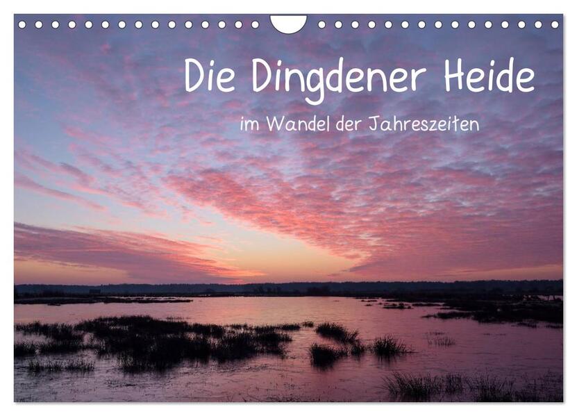 Die Dingdener Heide im Wandel der Jahreszeiten (Wandkalender 2026 DIN A4 quer) CALVENDO Monatskalender