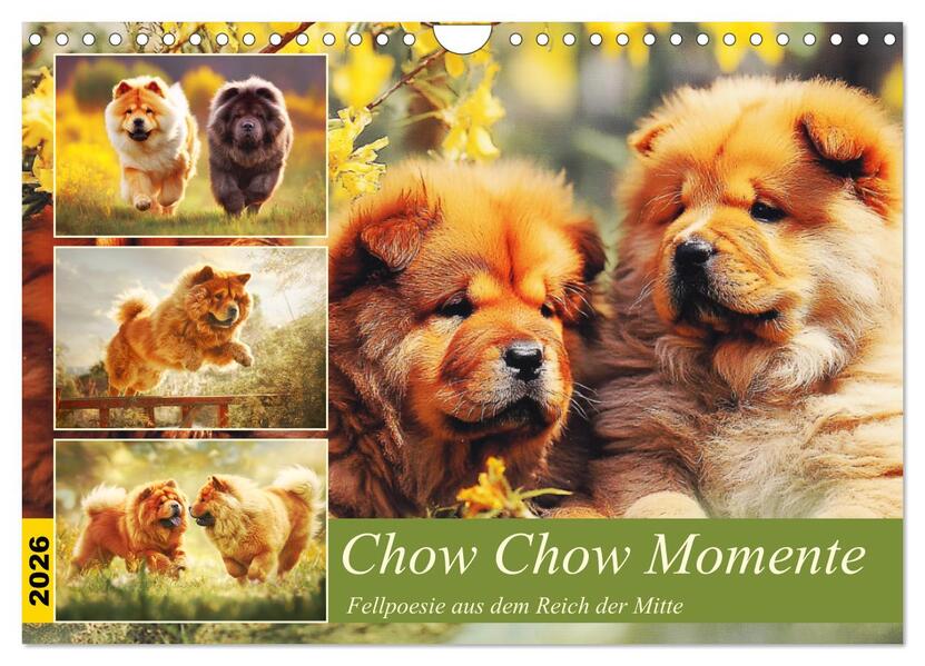 Chow Chow Momente. Fellpoesie aus dem Reich der Mitte (Wandkalender 2026 DIN A4 quer) CALVENDO Monatskalender