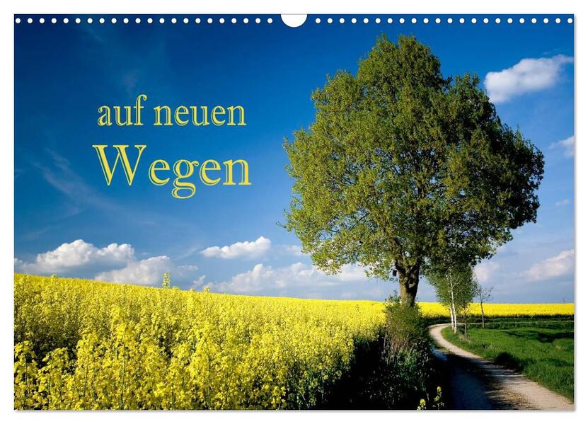 Auf neuen Wegen (Wandkalender 2026 DIN A3 quer) CALVENDO Monatskalender
