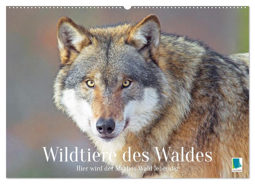 Wildtiere des Waldes: Hier wird der Mythos Wald lebendig (Wandkalender 2026 DIN A2 quer) CALVENDO Monatskalender