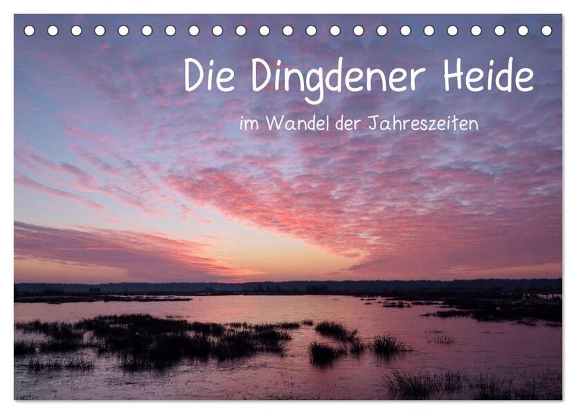 Die Dingdener Heide im Wandel der Jahreszeiten (Tischkalender 2026 DIN A5 quer) CALVENDO Monatskalender