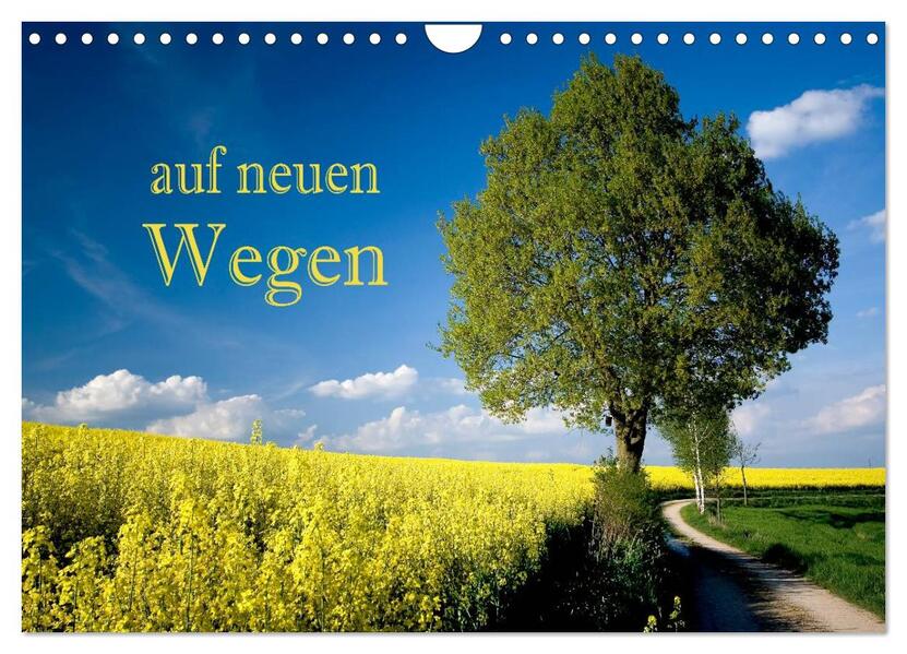 Auf neuen Wegen (Wandkalender 2026 DIN A4 quer) CALVENDO Monatskalender