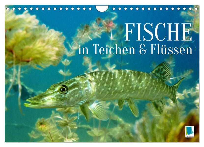 Fische in Teichen und Flüssen (Wandkalender 2026 DIN A4 quer) CALVENDO Monatskalender