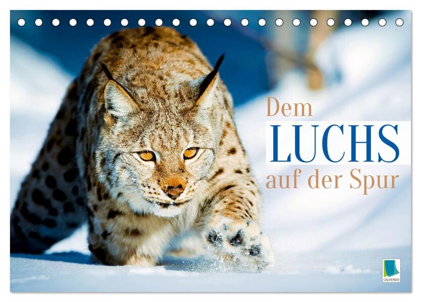 Dem Luchs auf der Spur (Tischkalender 2026 DIN A5 quer) CALVENDO Monatskalender