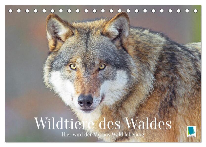 Wildtiere des Waldes: Hier wird der Mythos Wald lebendig (Tischkalender 2026 DIN A5 quer) CALVENDO Monatskalender