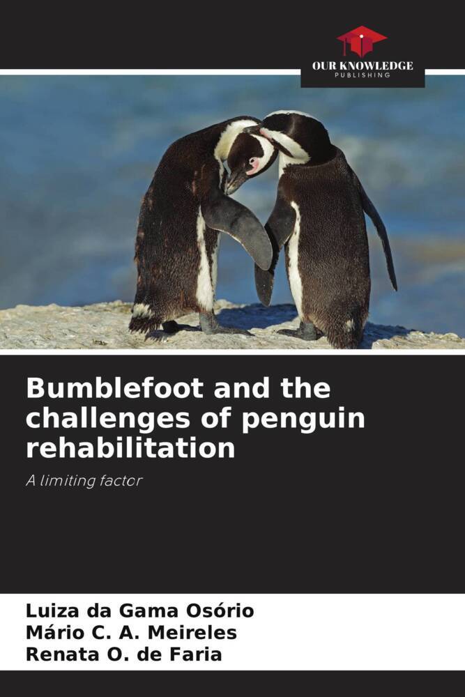 Bumblefoot and the challenges of penguin rehabilitation
