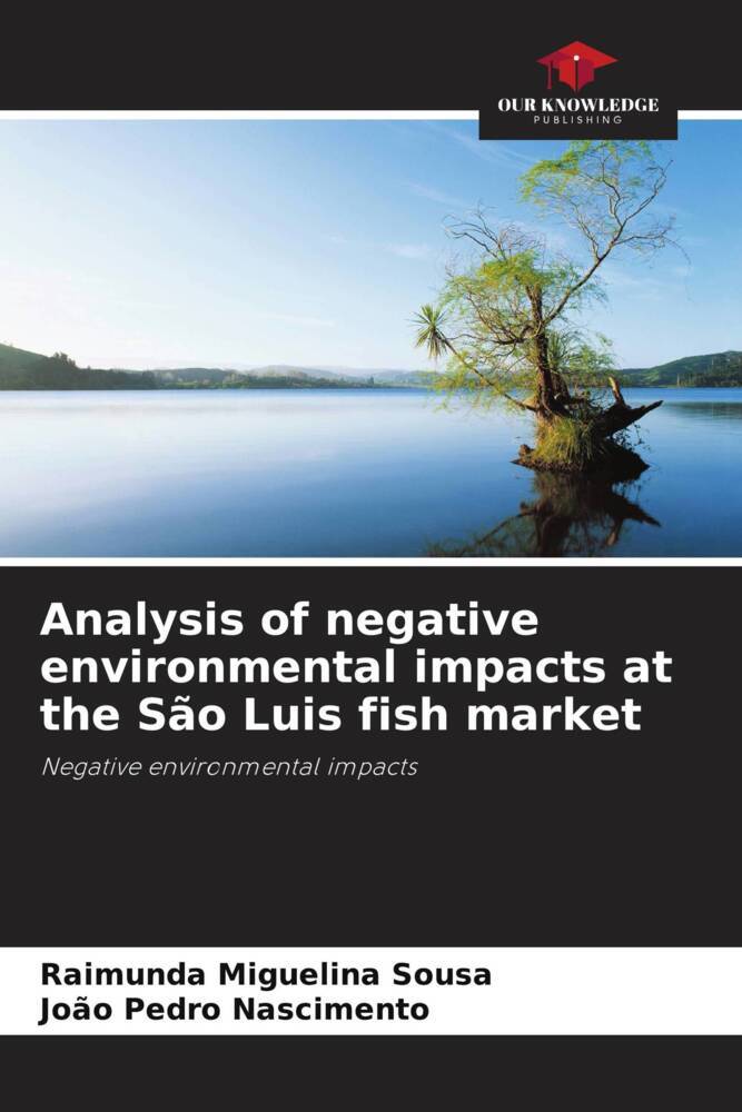 Analysis of negative environmental impacts at the São Luis fish market
