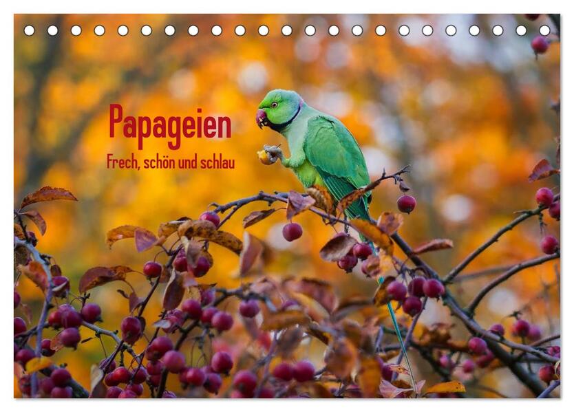 Papageien - Frech schön und schlau (Tischkalender 2026 DIN A5 quer) CALVENDO Monatskalender