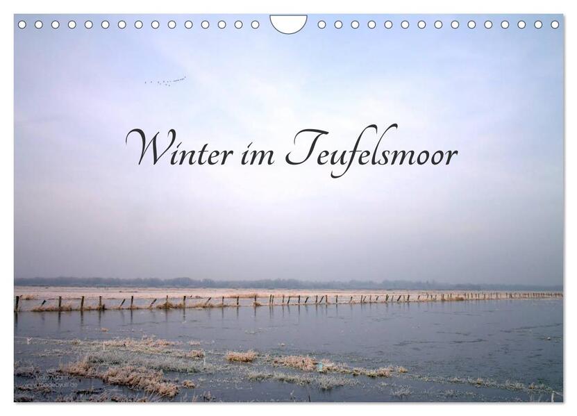 Winter im Teufelsmoor (Wandkalender 2026 DIN A4 quer) CALVENDO Monatskalender