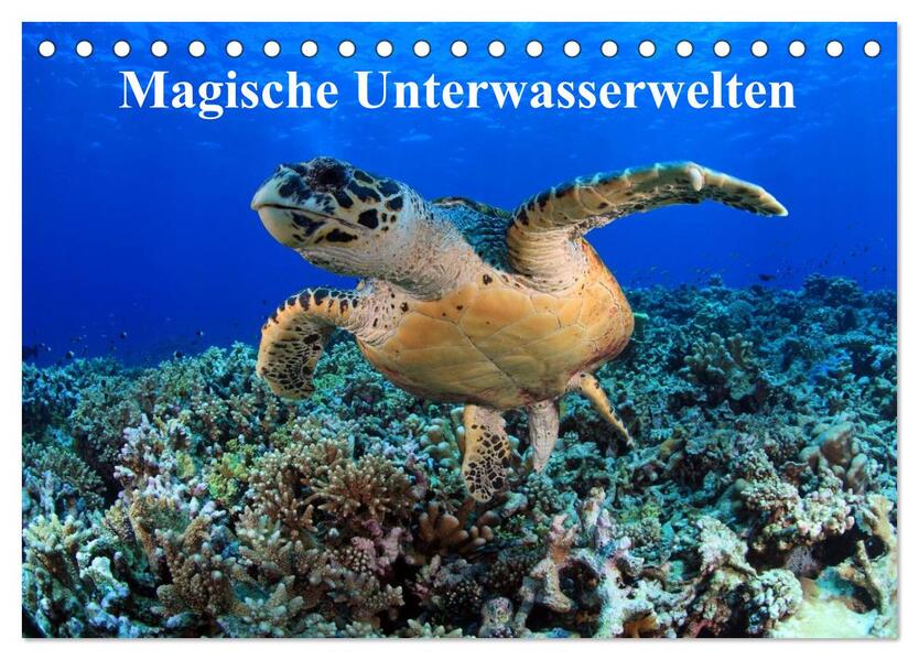 Magische Unterwasserwelten (Tischkalender 2026 DIN A5 quer) CALVENDO Monatskalender