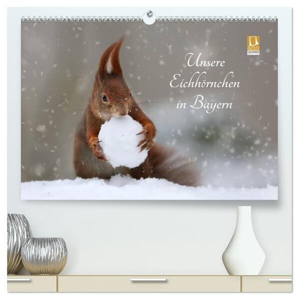 Unsere Eichhörnchen in Bayern (hochwertiger Premium Wandkalender 2026 DIN A2 quer) Kunstdruck in Hochglanz