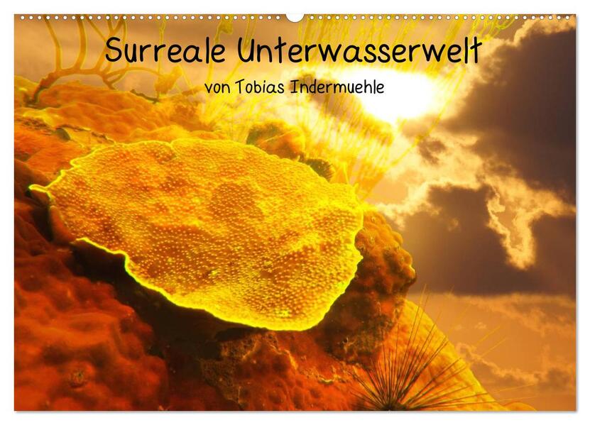 Surreale Unterwasserwelt (Wandkalender 2026 DIN A2 quer) CALVENDO Monatskalender