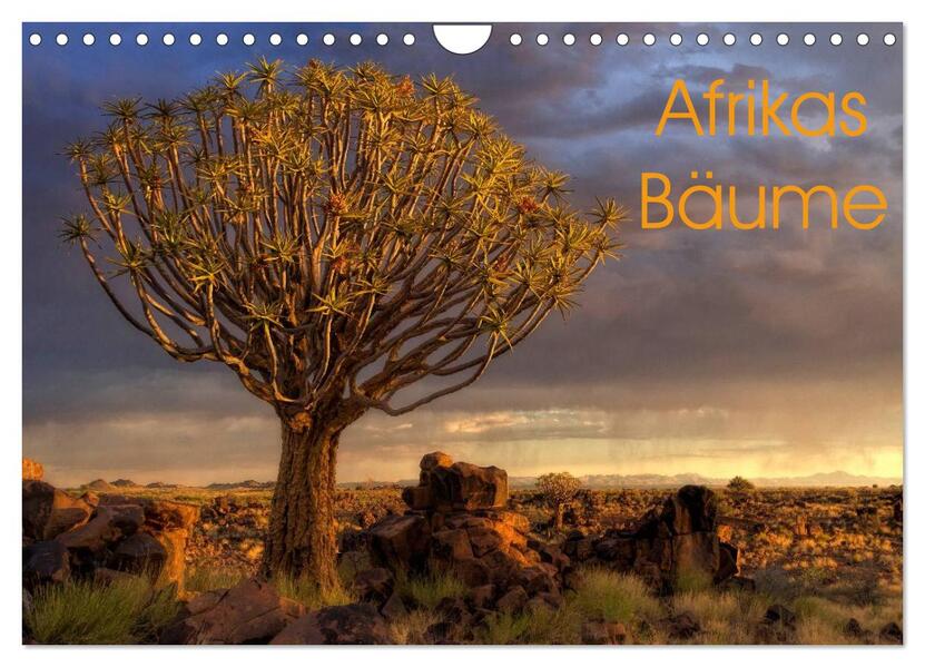 Afrikas Bäume (Wandkalender 2026 DIN A4 quer) CALVENDO Monatskalender