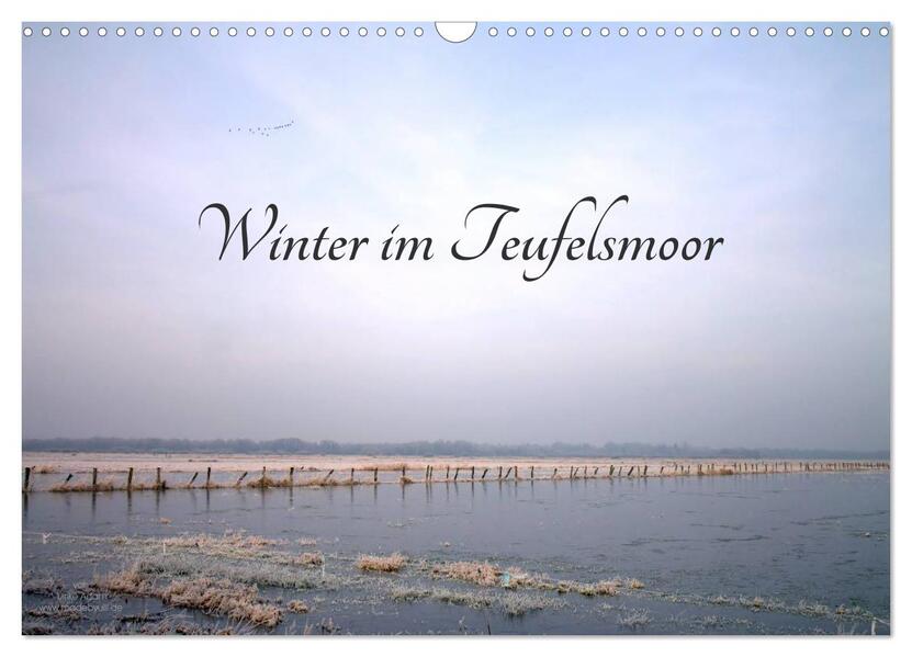 Winter im Teufelsmoor (Wandkalender 2026 DIN A3 quer) CALVENDO Monatskalender
