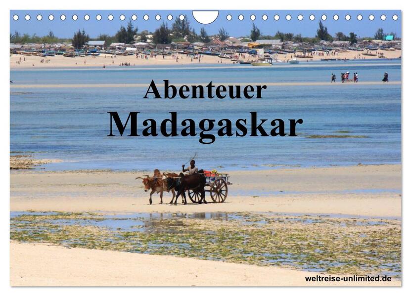 Abenteuer Madagaskar (Wandkalender 2026 DIN A4 quer) CALVENDO Monatskalender
