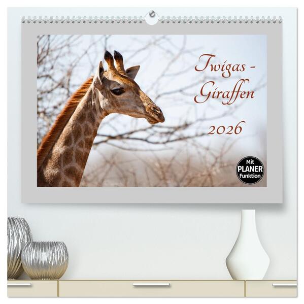Twigas - Giraffen (hochwertiger Premium Wandkalender 2026 DIN A2 quer) Kunstdruck in Hochglanz