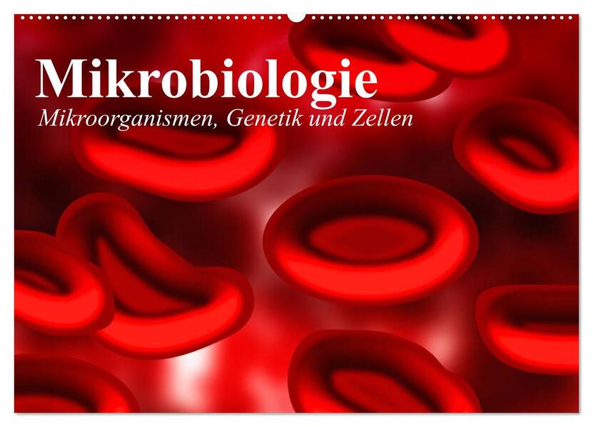 Mikrobiologie. Mikroorganismen Genetik und Zellen (Wandkalender 2026 DIN A2 quer) CALVENDO Monatskalender