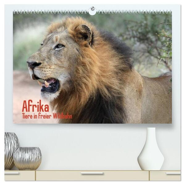 Afrika. Tiere in freier Wildbahn (hochwertiger Premium Wandkalender 2026 DIN A2 quer) Kunstdruck in Hochglanz
