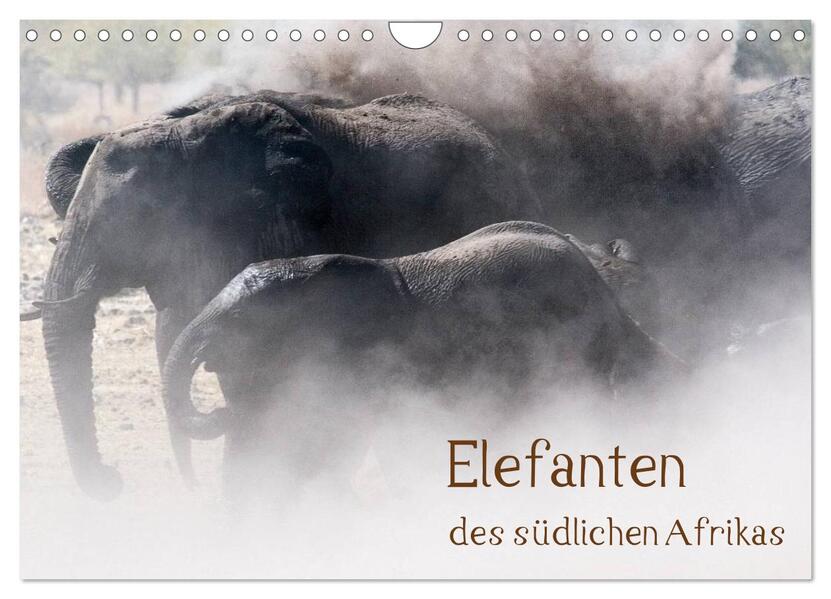 Elefanten des südlichen Afrikas (Wandkalender 2026 DIN A4 quer) CALVENDO Monatskalender