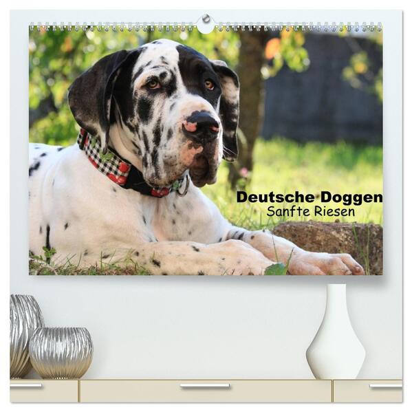 Deutsche Doggen - Sanfte Riesen (hochwertiger Premium Wandkalender 2026 DIN A2 quer) Kunstdruck in Hochglanz