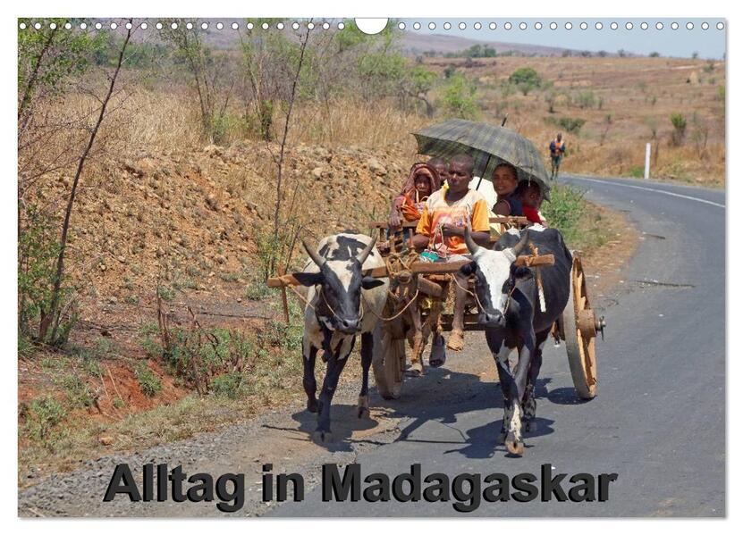 Alltag in Madagaskar (Wandkalender 2026 DIN A3 quer) CALVENDO Monatskalender