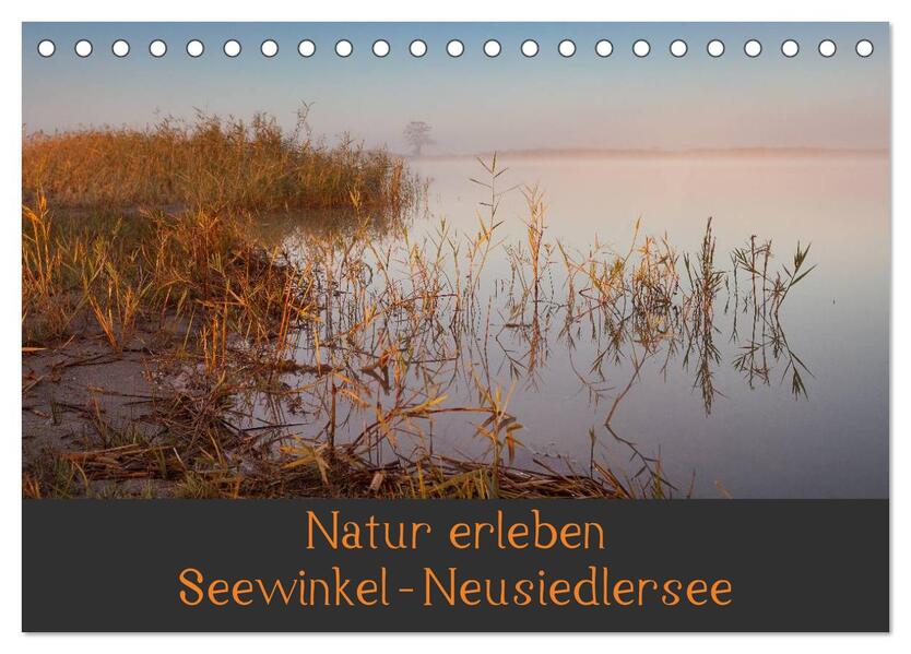 Natur erleben Seewinkel-Neusiedlersee (Tischkalender 2026 DIN A5 quer) CALVENDO Monatskalender