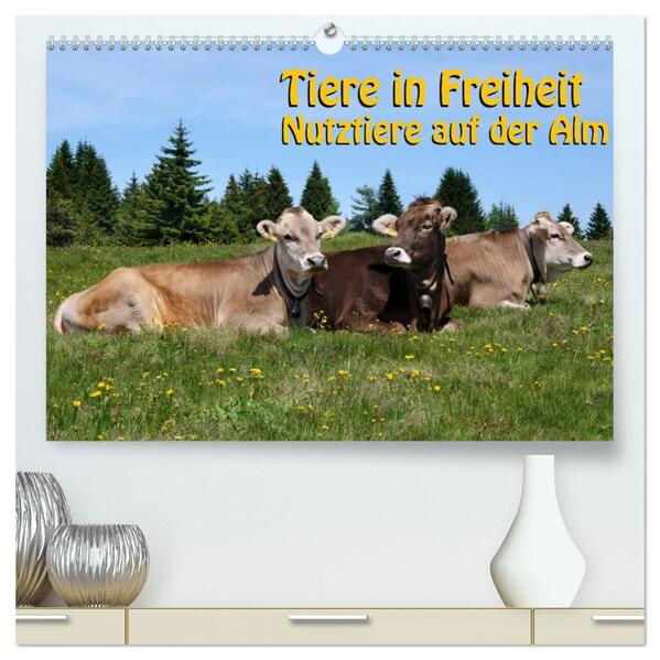 Tiere in Freiheit - Nutztiere auf der Alm (hochwertiger Premium Wandkalender 2026 DIN A2 quer) Kunstdruck in Hochglanz
