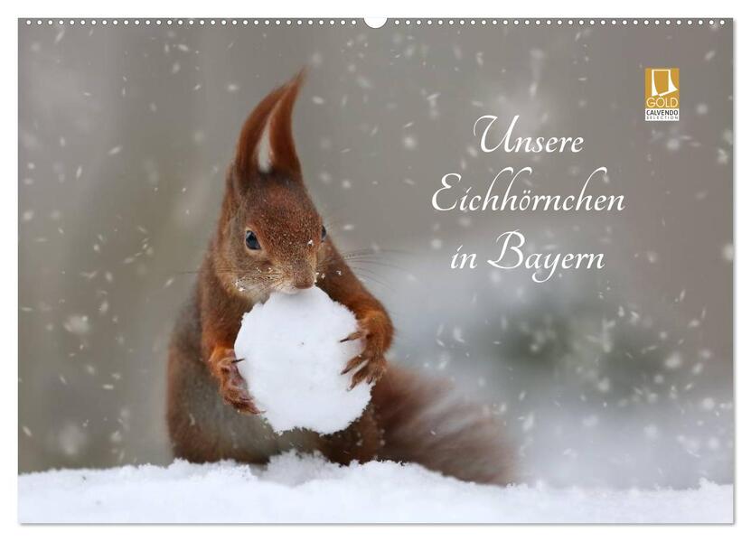 Unsere Eichhörnchen in Bayern (Wandkalender 2026 DIN A2 quer) CALVENDO Monatskalender
