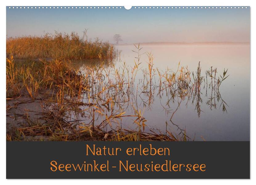 Natur erleben Seewinkel-Neusiedlersee (Wandkalender 2026 DIN A2 quer) CALVENDO Monatskalender